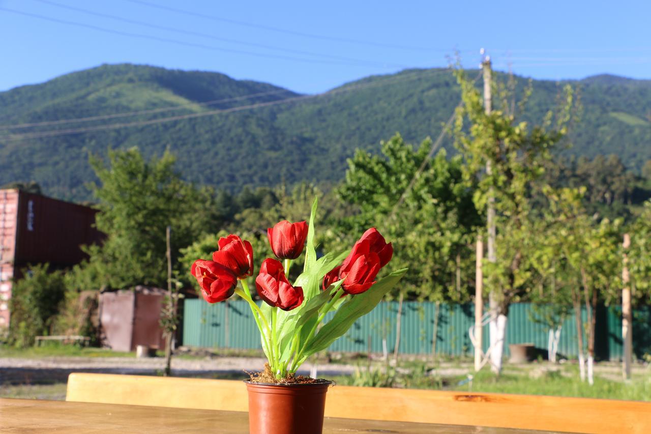 Inn Aхчыпсы Gagra Exterior foto